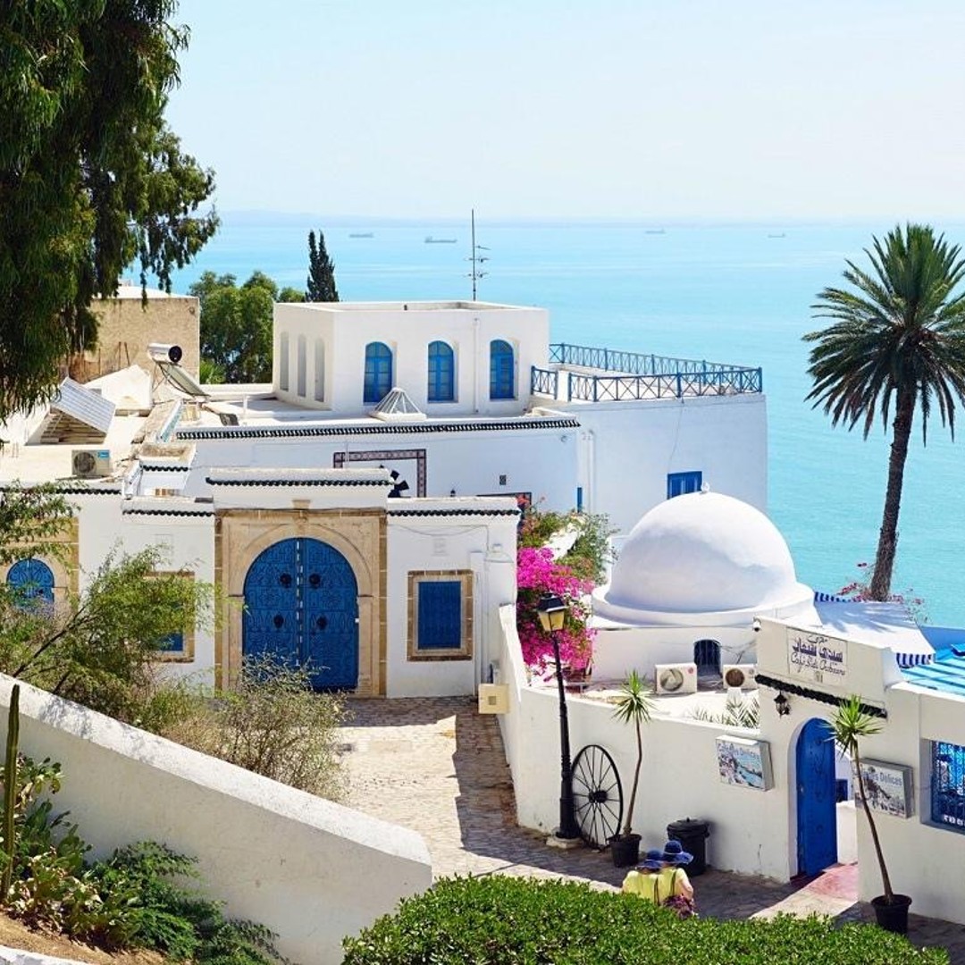 12 Days Tunisia Discovery: Culture, Nature & Sahara Adventure